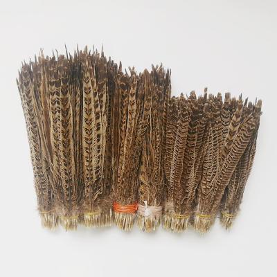 China Decorations Factory Price Natural Dyed Pheasant Duster 20-25cm Mother Mountain Chicken Tail Feather for sale