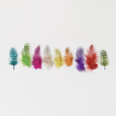 China Decorations Low Price Professional Manufacturer Pearl Chicken  4-8 Cm Multicolor Guinea Fowl Feather for sale