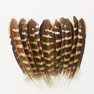 China Decorations Wholesale Professional High Quality Pearl Trim 10-16 Cm Chicken Nest Feather for sale