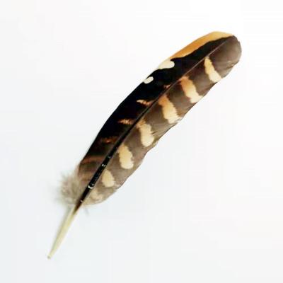 China Decorations Manufacturer Supply Multifunctional Colored 10-16 Cm Chicken Nest Feather for sale