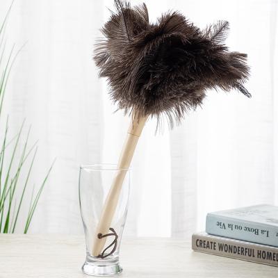 China Decorations Competitive Price Multifunctional TND-008 Ostrich Feathers Duster For Sale for sale