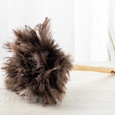 China Decorations Good Quality Home TND-008 Ostrich Feathers Duster With Wood Handle for sale