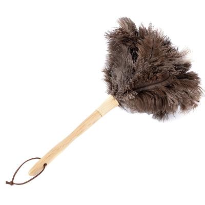 China Decorations Online Wholesale Large Washable TND-008 Ostrich Feathers Duster For Home for sale