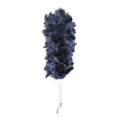 China Decorations Low Cost Cheap Multifunctional Natural TND-038 Ostrich Feathers Dust Duster for sale