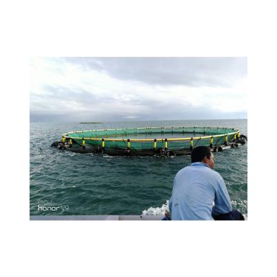 China Floating fish sea cage system for fish farming made of HDPE pipe cage frame and PE net for sale