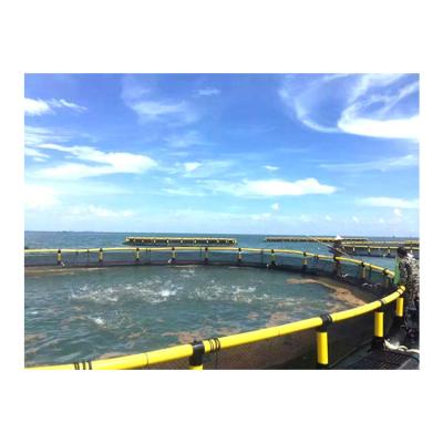 China Saltwater Aquaculture Round Aquaculture Equipment System Floating Fish Farming Net Cage For Tiger Grouper Fishes for sale