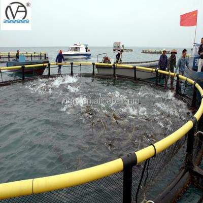 China China Factory Price Marine Fish Breeding Cage,Floating Fish Cage for sale