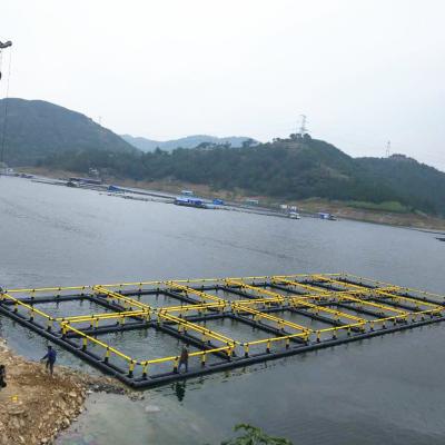 China 2021 Hot Sale Offshore Fish Aquaculture Fish Net Cage for sale