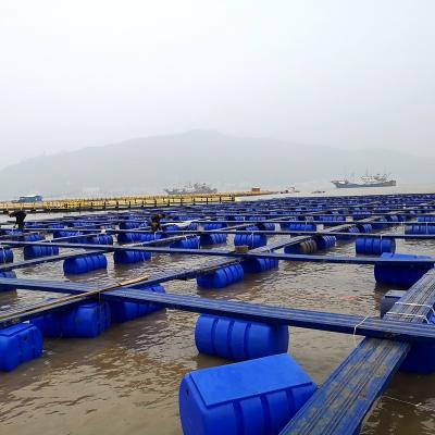 China Fish Farm Pontoon Fish Cage For Fish Farm for sale