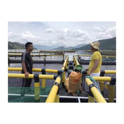 China Hot sales floating fish pontoon for fish cage for sale