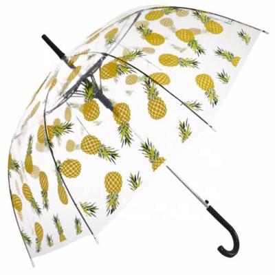 China Transparent New Arrival Pineapple Printing Rain Umbrella Fantastic Hanging Dome Shaped Custom Umbrella for sale