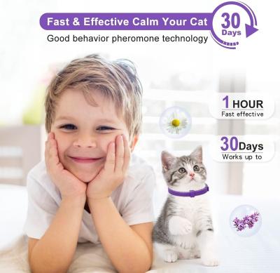 China Stocked Cat Calming collar 6-piece Cat Calming collar Relaxing Cat pheromone collar Adjustable separation design for small, medium, for sale