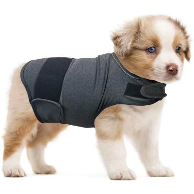 China Stocked Hot item Pet comfort clothing dog separation relief anxiety functional vest anti-scare jacket for sale