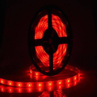 China Top Selling Energy Saving Decoration LED Light Strips Waterproof For Outdoor for sale