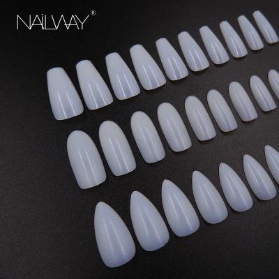 China Easy Apply Professional Salon Nails 500pcs Natural Color XXXL Coffin Form Custom Nail Tips Display for sale