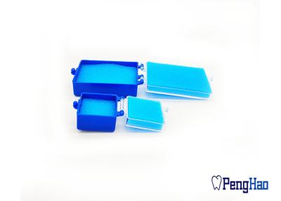 China Square Plastic Tooth Box , Dental Lab Products With Sponge / Dental Retainer Case for sale