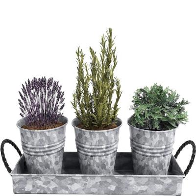 China Durable Classic Decorative Garden Corner Plant White Flower Pot Trays With 3PCS Galvanized Mini Grass Buckets for sale