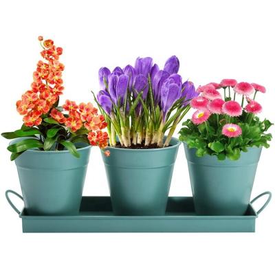 China Durable Herb Plant Pots Set Succulent Pots with Tray and Drain Holes Indoor Garden Metal Planters for Kitchen Windowsill Garden Home for sale