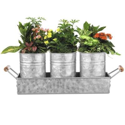 China Durable 3PCS Herb Plant Pots Set Succulent Pots with Tray Metal Planters Flower Pots for Outdoor Indoor Kitchen Home Garden Windowsill for sale