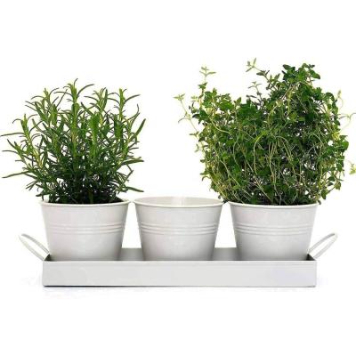 China Durable Metal Herb Planter Herb Pots Garden Set 3 with Drip Tray White Flower Pots or Herb Pots for Kitchen Windowsill for sale