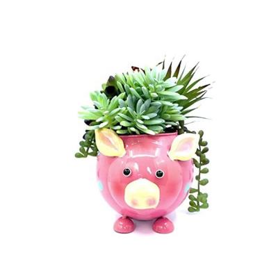 China Durable Metal Animal Planter Hands Painted Metal Pig Iron Planter Pot Colorful Animal Garden Animal Planter Desktop Inspiration for sale