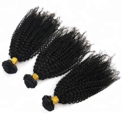 China Curly Curl Virgin Brazilian Hair 3 Bundles Virgin Cuticle Aligned Hair Wholesale for sale