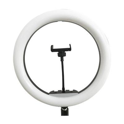 China Factory Price Photography 13 Inch 15w Selfie Led Ring Light With Tripod Stand For Live Stream Makeup OL33 for sale