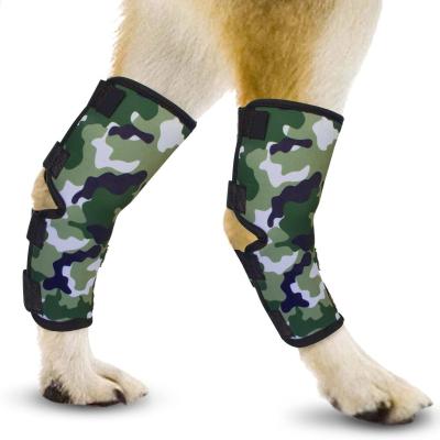 China Adjustable Breathable Neoprene Elasticity Dog Leg Hin Seal Wrap Dog Back Compression Brace Heals and Prevents Injuries and Sprains for sale