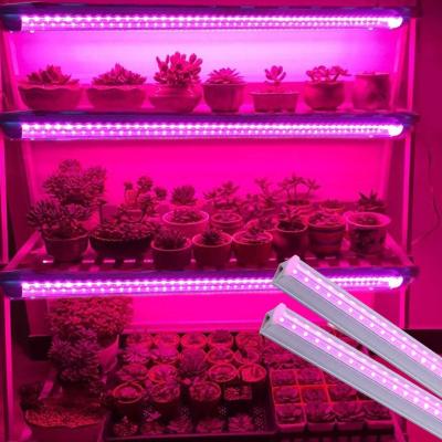 China Seed Starting 2021 Full Spectrum T8 LED Grow Light Pinky Tube Lighting Fixture for sale