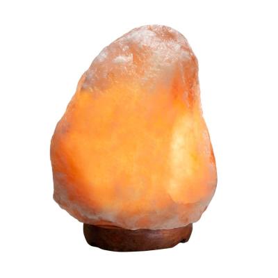 China Aluminum Tubular Edison Bulb 15w For Himalayan Salt Lamp Bulb for sale