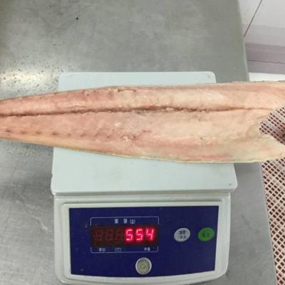 China NATURE Mahi Mahi frozen fish fillet for sale