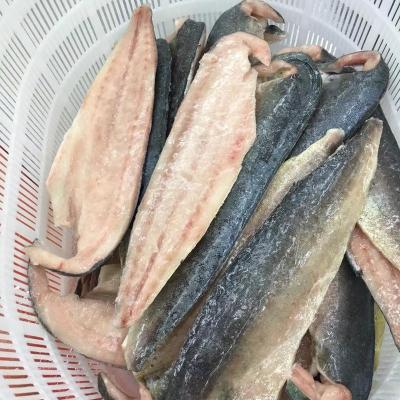 China NATURE Frozen Mahi Mahi Fillet with Wholesale Price for sale