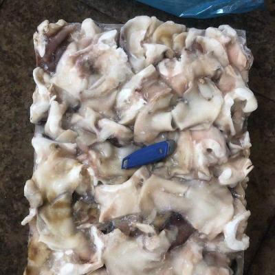 China Best Price Nutritious Export Seafood Frozen Indian Squid Neck 300g+ for sale