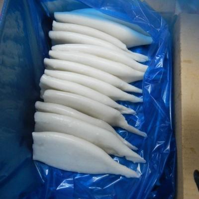 China NATURE Frozen Squid Tube and Fillet for sale