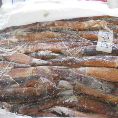 China Wholesale Frozen 100 NATURE SEAFROZEN BQF Argentina Squid 150g for sale