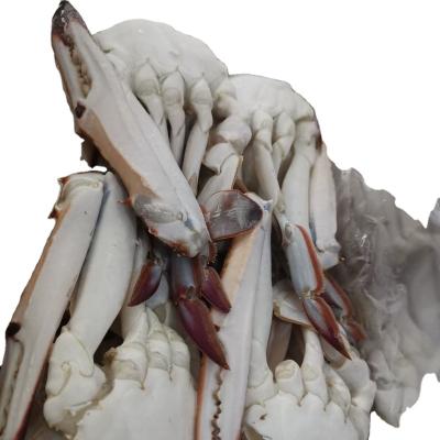 China Whole NATURE frozen blue swimming crab in low price for sale