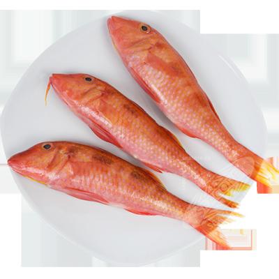 China NATURE frozen red mullet for sale