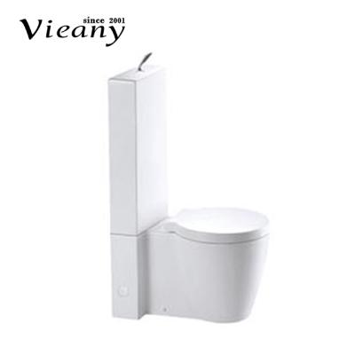 China Double-flush Innovative Design Two Unit Price Western Lavatories Ashing Toilet for sale