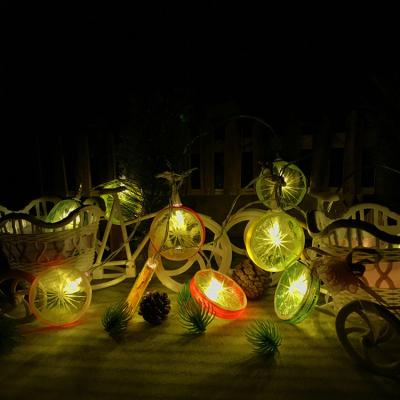 China China Lemon Led Battery Operated String Lights Christmas Holiday Wedding Decoration Lights For Gift for sale