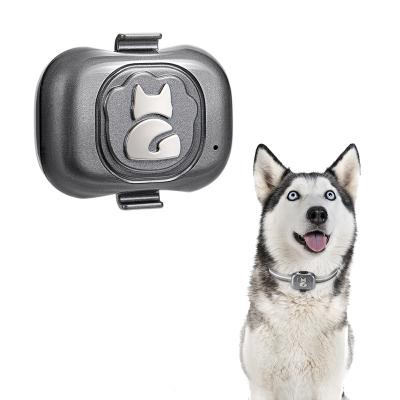 China New Style Ip67 Pet Tracker Grade Waterproof Mini Personal Pet Dog Tracker Device Gps Smart Pet Tracker for sale