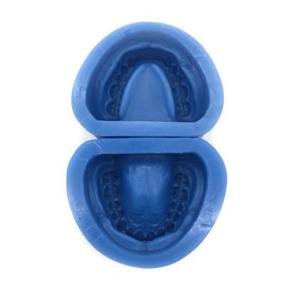 China High Quality Silicon Rubber Mould of Partial Edentulous Model / Standard Rubber Mould / Dental Teeth Model for sale