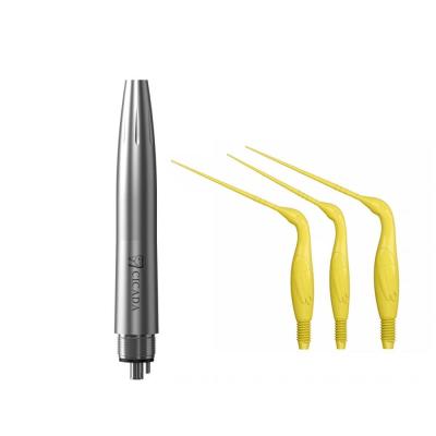 China Cicada Dental Air Scaler 3 holes can use with plastic tips for cleaning Root canal en venta