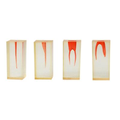 China Dental Laboratory Unit Simulator Products Resin Endo Training Block Dental Canal Tooth Root Model 4pcs/set for sale