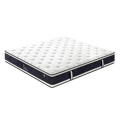 China Hypoallergenic 12 Inch 9 Layer Euro Size Single Twin Euro Memory Foam Pocket Top High Density Box Spring for sale