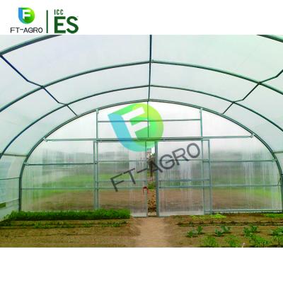 China Easily Assembled Cheap Single Span Tunnel Film Greenhouse With Arch Shape For Sale for sale