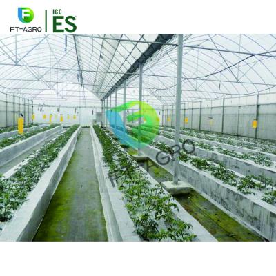 China Easily Assembled Agricultural Smart Commercial Multi Span Polyethylene Film Greenhouse With Blower for sale