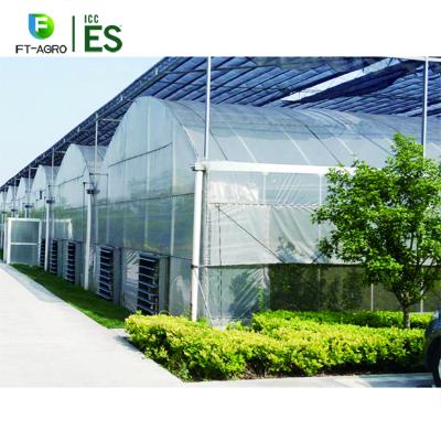 China Easily Assembled PO Film Multi Span Greenhouse Hot Dip Galvanized Steel Frame for sale