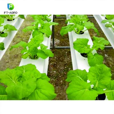 China Seedling Nursery Maker Hydroponic Growing Greenhouse With NFT Vertical Hydroponic Growing Systems for sale