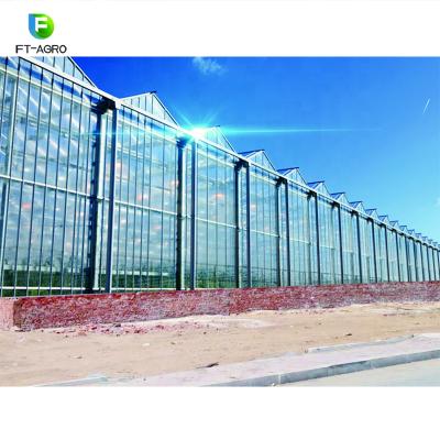 China Stable structure easily assembled multi span greenhouse for sale