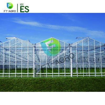 China Stable Structure Easily Assembled Good Quality Glass Agriculture Greenhouse For Vegetables for sale